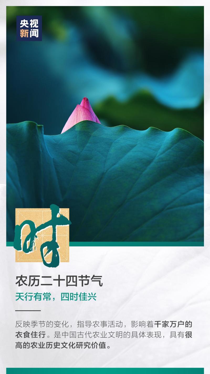 這也太浪漫了吧！