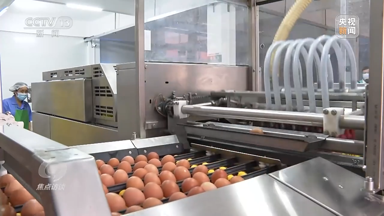 焦點(diǎn)訪(fǎng)談丨直擊難點(diǎn) 精準(zhǔn)紓困