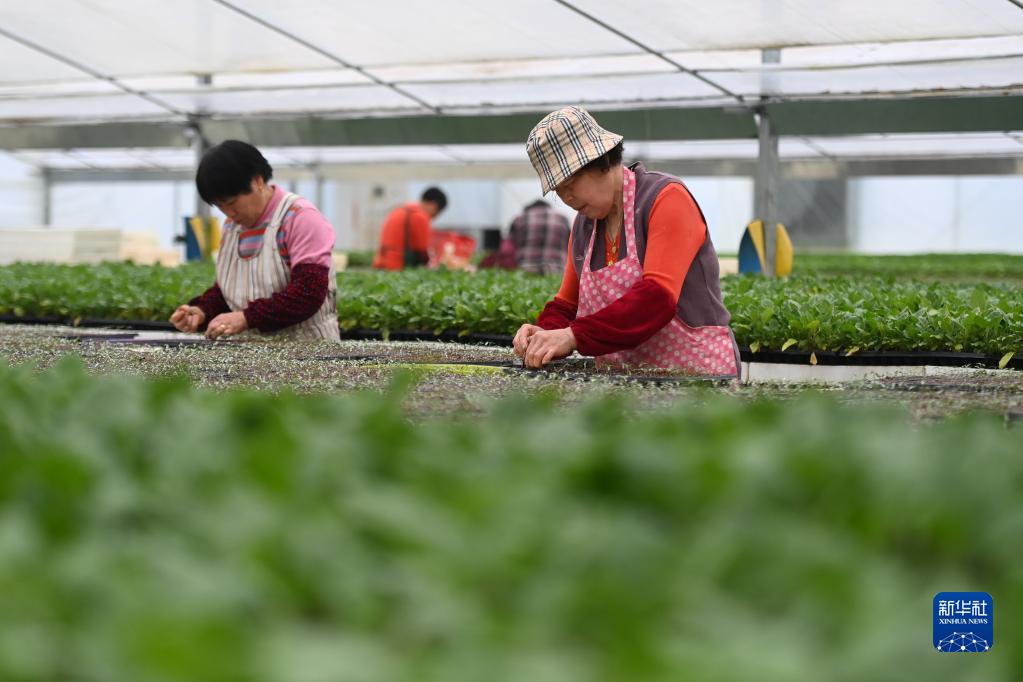 浙江:春耕備耕正當時