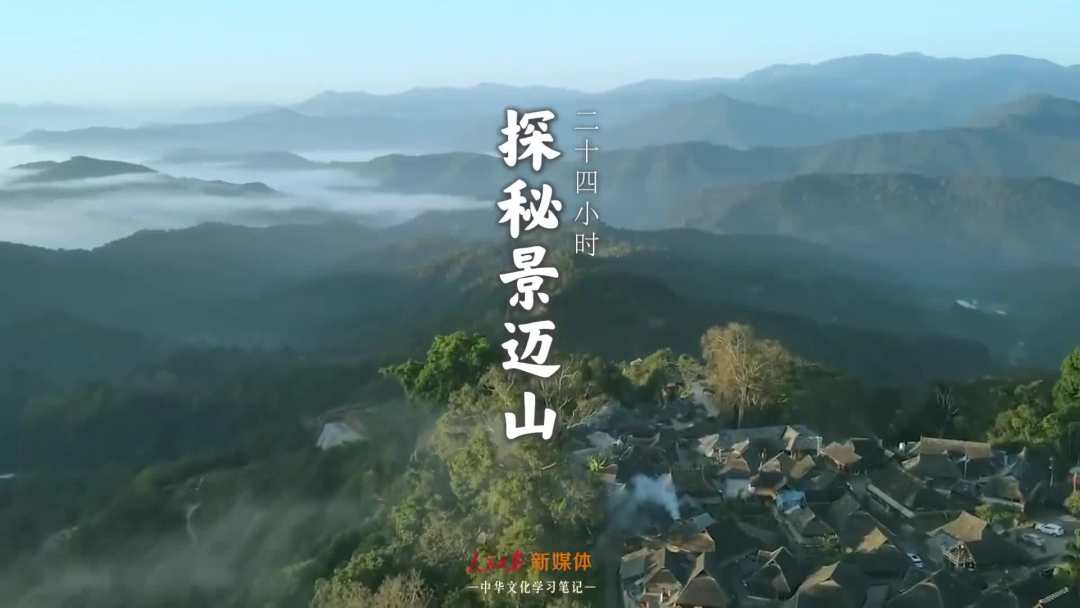 景邁山是個什么山？航拍云南普洱森林里的世界遺產