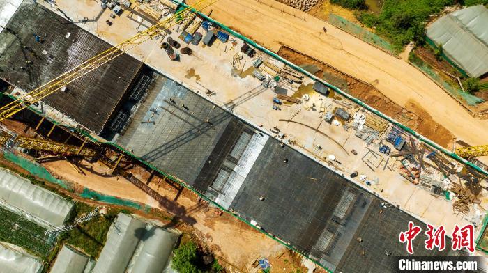 俯瞰正在建設的天府站多線橋鋼筋鋪架現場。　劉忠俊 攝