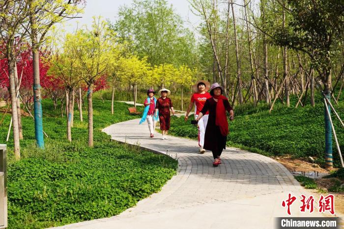 河北邢臺:綠“鏈”串“珠”串起城市生態走廊