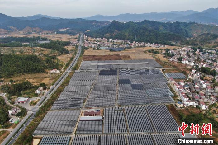 井岡山山鄉發展“蝶變記”：農村產業抱團鄉村旅游富民
