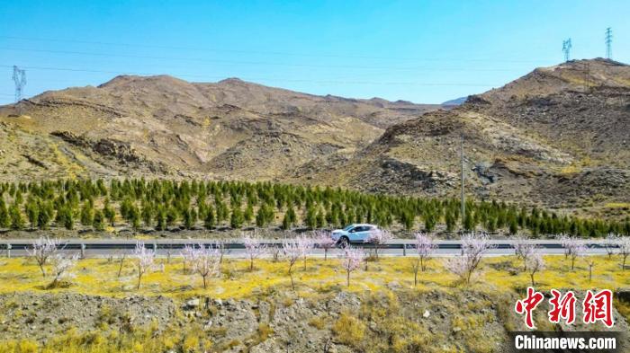 生態(tài)修復(fù)后逐漸變綠的賀蘭山石嘴山段?！∈焐绞形麄鞑抗﹫D
