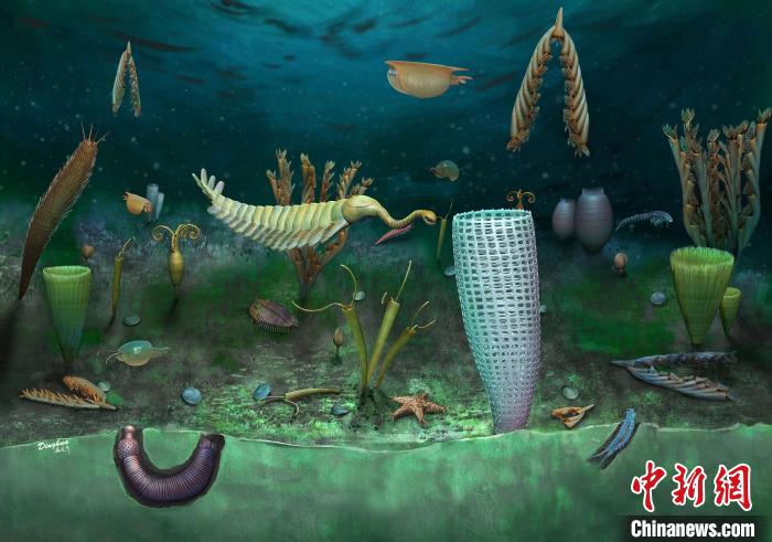 Castle Bank動物群藝術復原圖(Yang Dinghua繪制)。　施普林格·自然 供圖