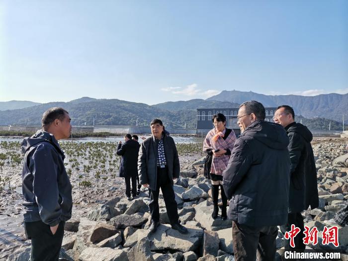 浙江海洋生態觀察：智慧大腦如何解鎖藍色發展密碼？