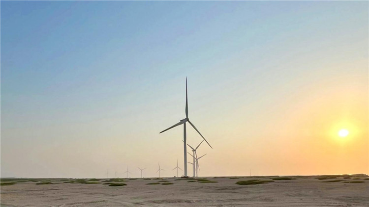 圖為阿聯酋風電示范項目在阿布扎比薩爾巴尼亞斯島上的風電場。 中國電建供圖