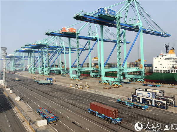 天津港北疆港區C段智能化集裝箱碼頭。人民網記者 符園園攝