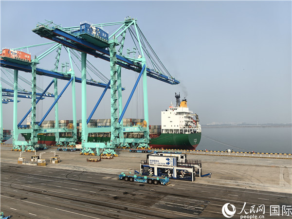 天津港北疆港區C段智能化集裝箱碼頭。人民網記者 符園園攝