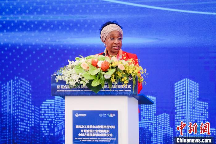 聯(lián)合國工業(yè)發(fā)展組織總干事代表兼執(zhí)行干事法圖 海達(dá)拉致辭。