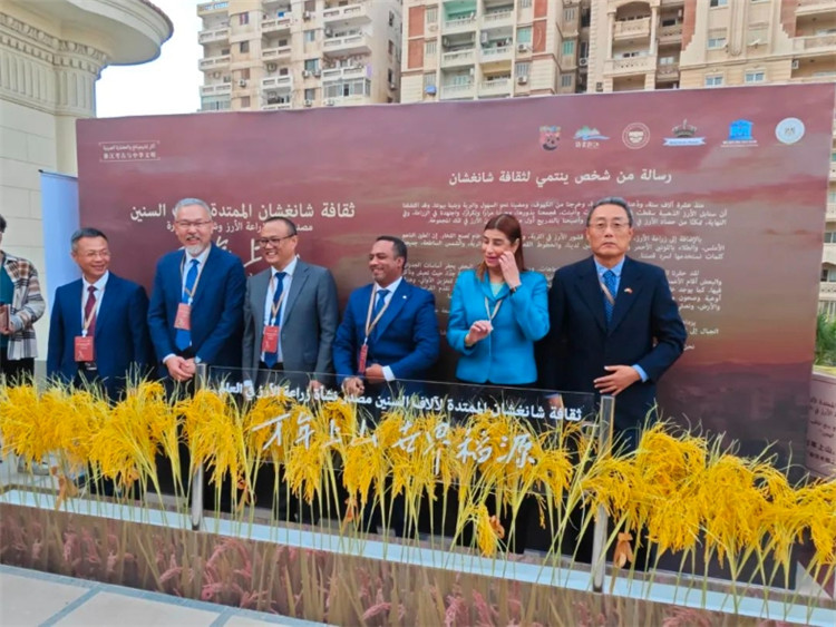 圖為現場嘉賓為特展啟幕。開羅中國文化中心供圖