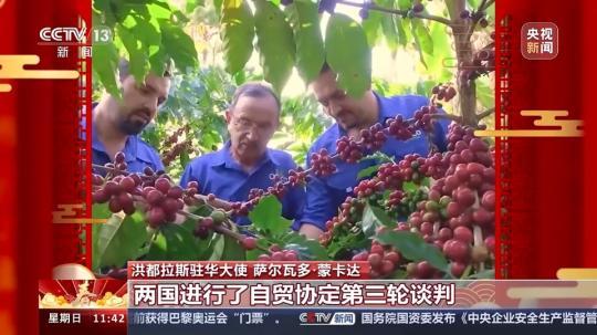 飽含美好祝愿與期待 洪都拉斯駐華大使:期待自己在中國度過的第一個春節