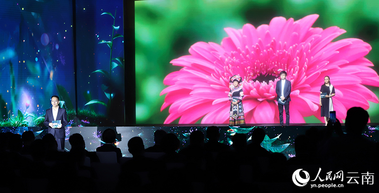 科技賦能 云南開遠花卉產業綻放“美麗經濟”