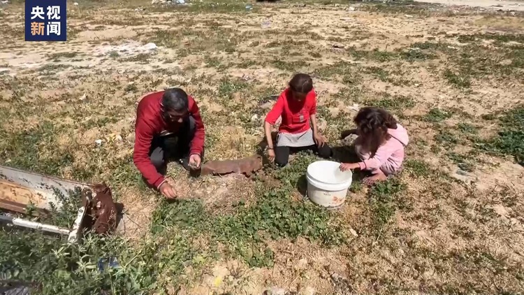 本輪巴以沖突已持續6個月 加沙地帶糧食不安全狀況愈演愈烈