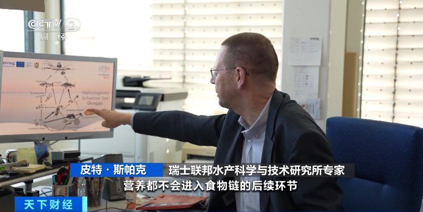 瑞士多個湖泊遭外來物種夸加貽貝入侵 生態系統與基礎設施遭破壞