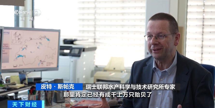 瑞士多個湖泊遭外來物種夸加貽貝入侵 生態系統與基礎設施遭破壞