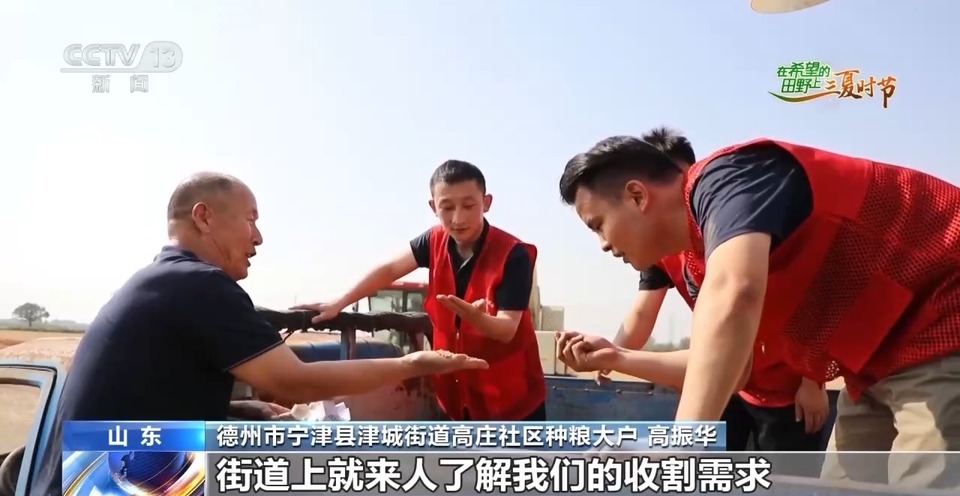 “三夏”生產(chǎn)思維導圖安排上了！還有政府大院等你來“曬”