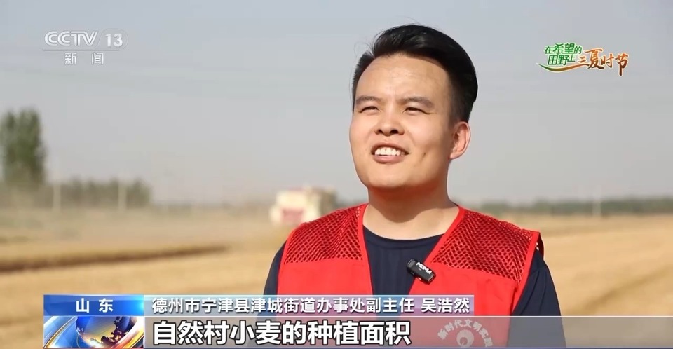 “三夏”生產(chǎn)思維導圖安排上了！還有政府大院等你來“曬”