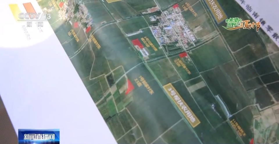 “三夏”生產(chǎn)思維導圖安排上了！還有政府大院等你來“曬”