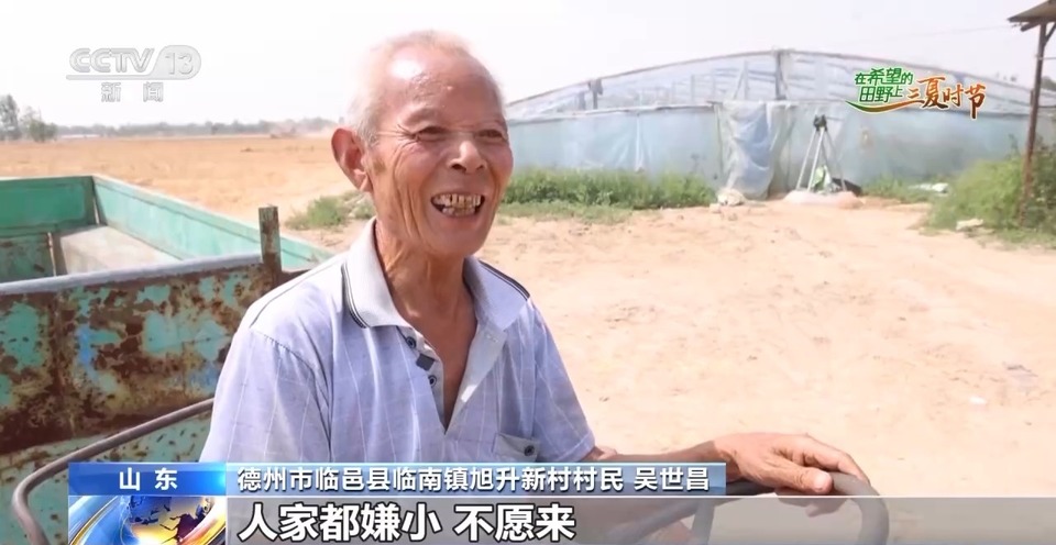 “三夏”生產(chǎn)思維導圖安排上了！還有政府大院等你來“曬”