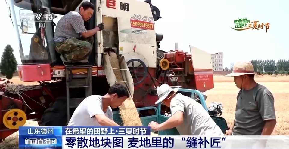 “三夏”生產(chǎn)思維導圖安排上了！還有政府大院等你來“曬”