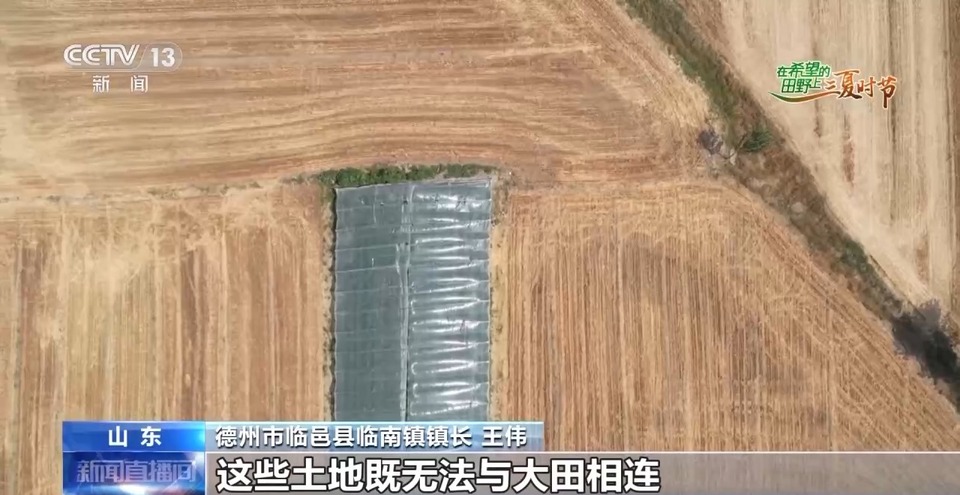 “三夏”生產(chǎn)思維導圖安排上了！還有政府大院等你來“曬”