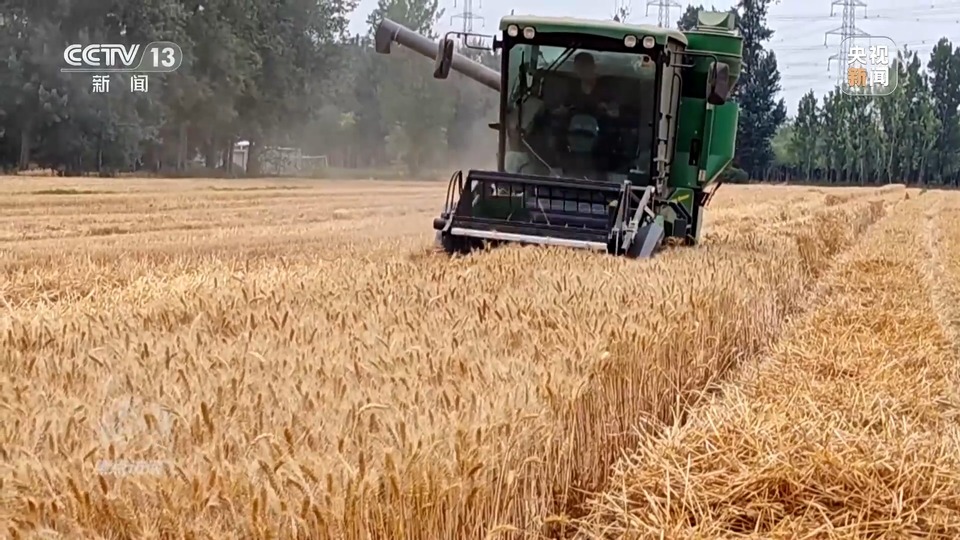 焦點訪談丨一粒良種 萬擔好糧 探索農(nóng)作物高產(chǎn)高質(zhì)“新密碼”