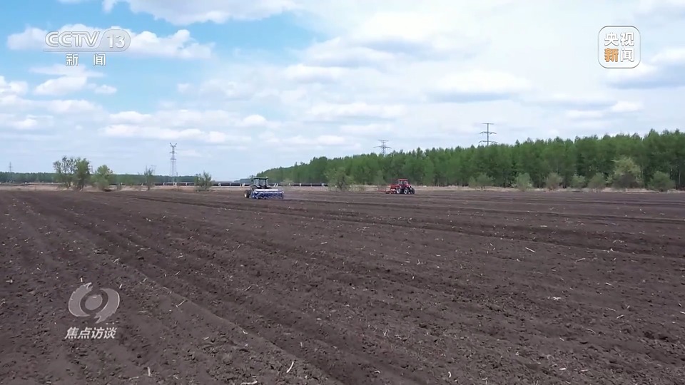 焦點訪談丨一粒良種 萬擔好糧 探索農(nóng)作物高產(chǎn)高質(zhì)“新密碼”