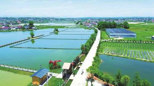 近年來,大成橋鎮堅持加強黨對鄉村治理的集中統一領導,該鎮鄉村治理模式入選第二批全國鄉村治理典型案例。圖為美麗的大成橋鎮。(資料圖片)