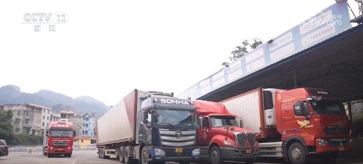 便企服務實打實 為企業“出海”保駕護航 經濟發展“添”動力