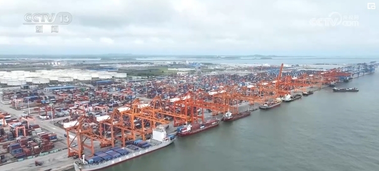 便企服務實打實 為企業“出海”保駕護航 經濟發展“添”動力