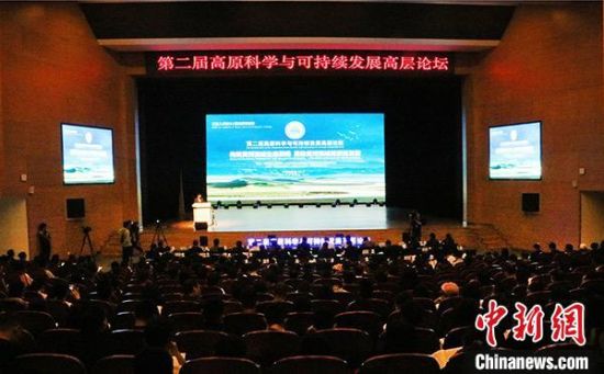 圖為論壇現場。 孫睿 攝