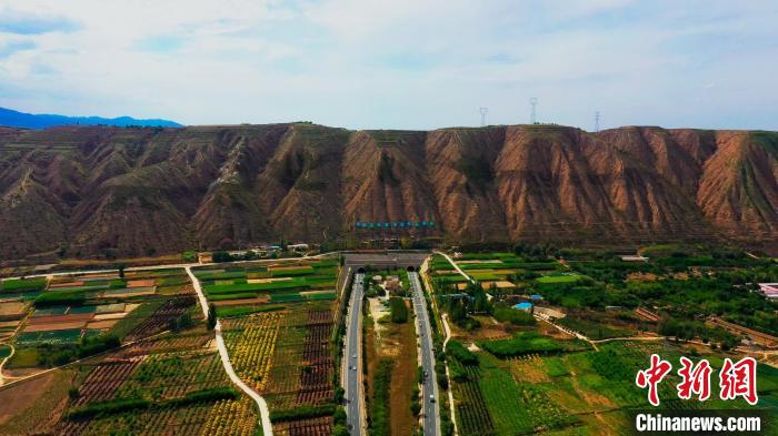 甘肅榆中造養結合十數年荒山改綠野生動物常“露面”