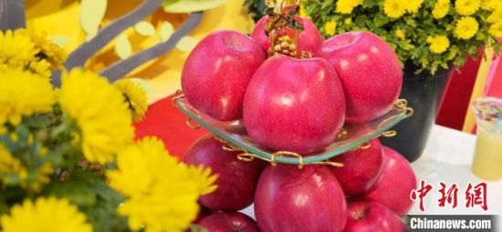 2021年10月15日，中國蘋果首屆產銷峰會暨甘肅平涼果品貿易大會在平涼市靜寧縣開幕。(資料圖) 魏建軍 攝