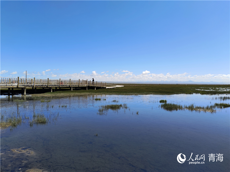  青海湖仙女灣。人民網 張莉萍攝