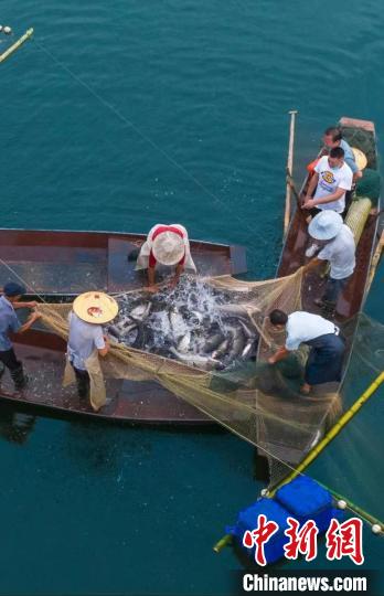 捕魚現場。　主辦方供圖