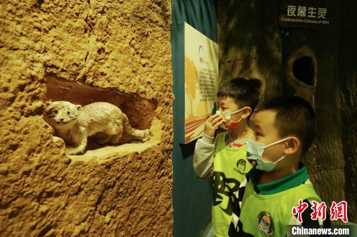 圖為小朋友在青海西寧湟水國家濕地公園科普館內參觀學習。　馬銘言 攝