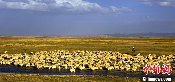 青?，敹唷鞍渍渲椤弊尠傩斟X(qián)袋鼓起來(lái)