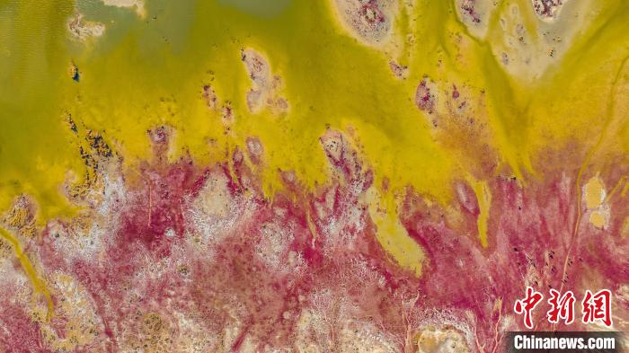 青海：柴達木盆地聚力品牌打造建設生態旅游目的地