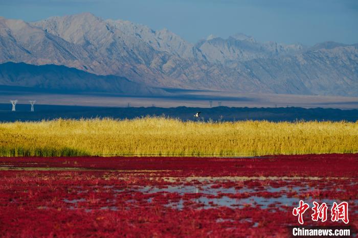 圖為柴達木盆地可魯克湖?！」?攝