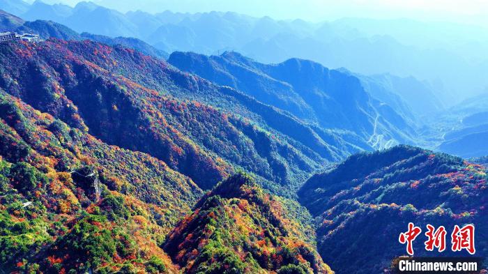 巴山大峽谷彩林迎來最佳觀賞期。　張平 攝