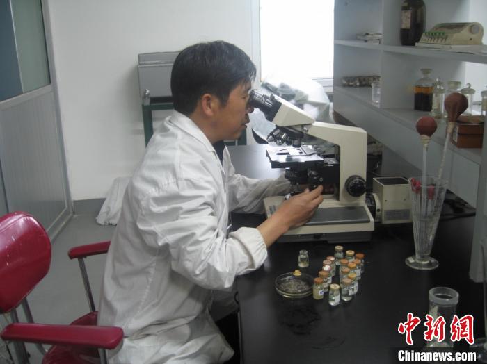 資料圖為研究團隊進行實驗室寄生蟲分類鑒定?！?青海省畜牧獸醫科學院供圖