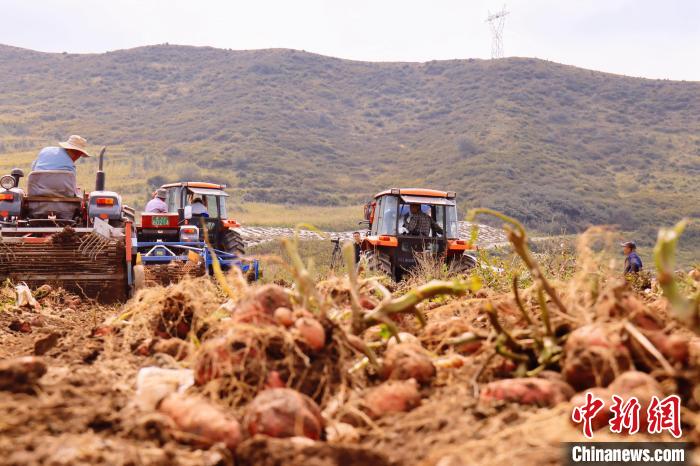 青海東部農業區：“一分川、一分水、八分山”里“刨金記”