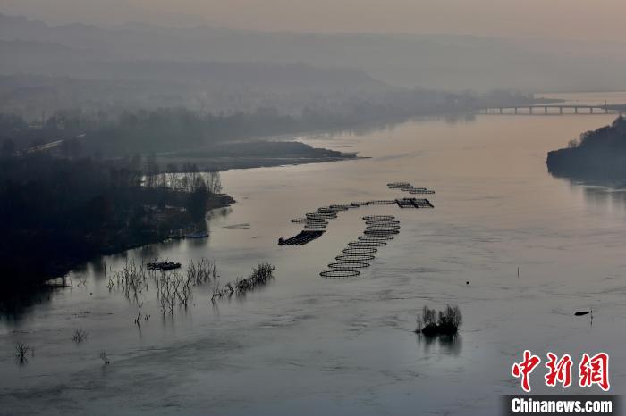 圖為冷水魚養殖。　李玉峰 攝