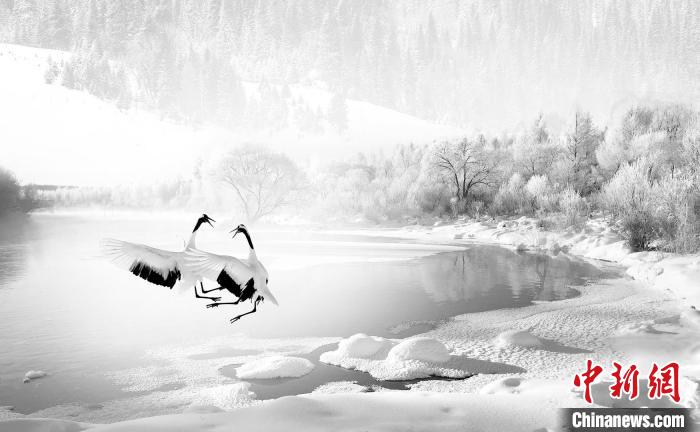 圖為焦生福的作品《鶴嬉雪林》。　青海省祁連山自然保護協會供圖