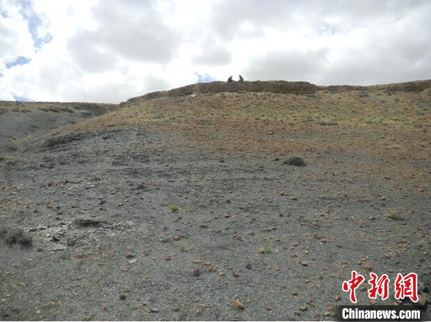 圖為本次研究的藏南曲布剖面二疊紀末期黑色頁巖?！∧瞎潘?供圖