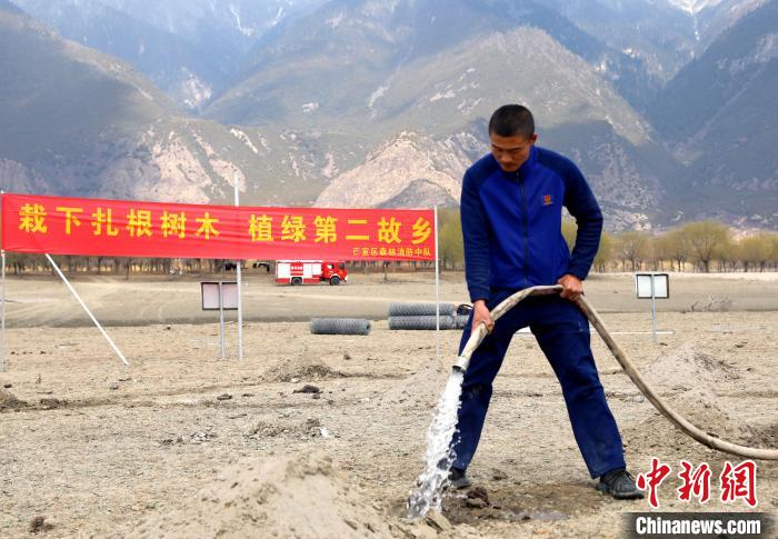 林芝市巴宜區(qū)森林消防中隊(duì)志愿服務(wù)隊(duì)澆水灌溉?！∥骼@拉翁 攝