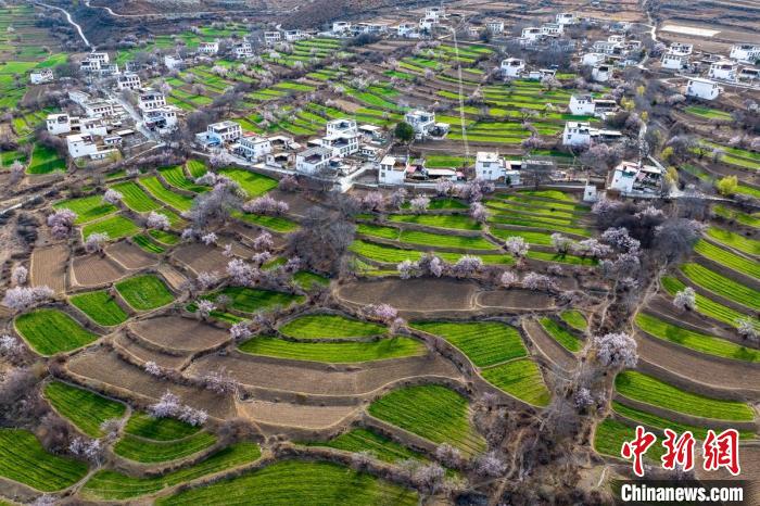 白松鎮桃花林中的白藏房。　劉忠俊 攝