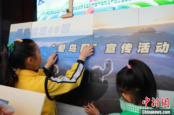 圖為學生通過拼圖游戲了解鳥類知識。　馬銘言 攝