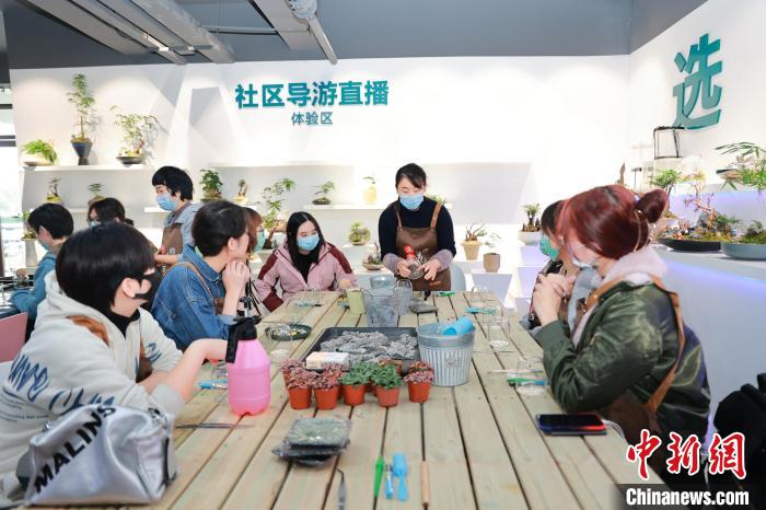 川臺港澳青年鄉村振興研習活動在蓉舉行